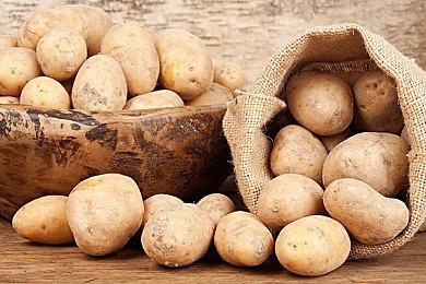 3DM速报：《生化8》女儿当主角！《怪猎崛起：曙光》体验版明日推出